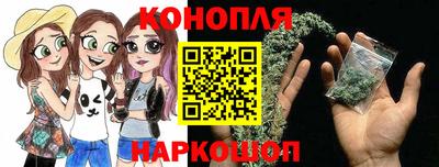 дживик Кингисепп