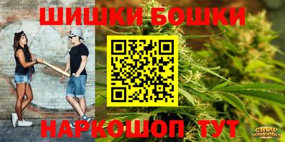 дживик Кингисепп