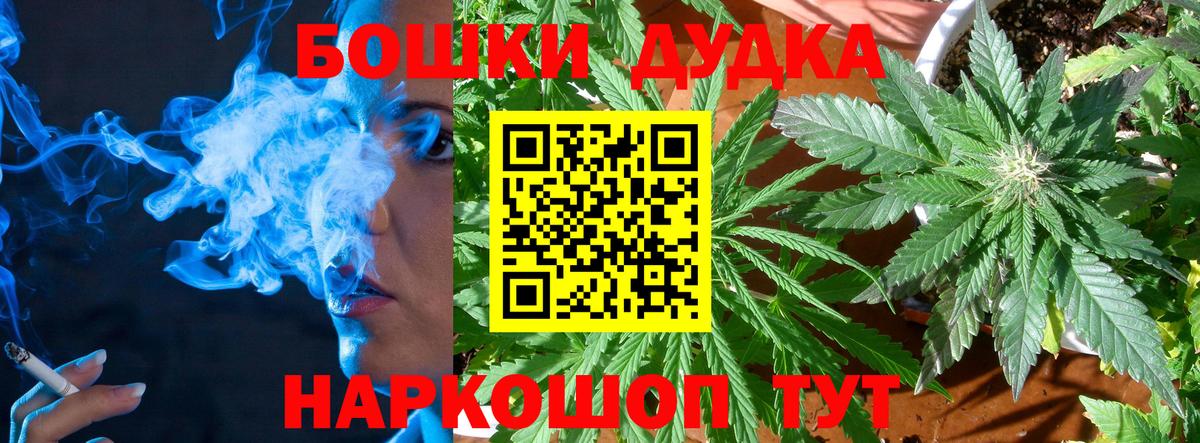Каннабис ГИДРОПОН  Вход с VPN  Каннабис White Widow  Бошки марихуана White Widow  Армавир 